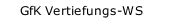 GfK Vertiefungs-WS
