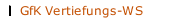 GfK Vertiefungs-WS